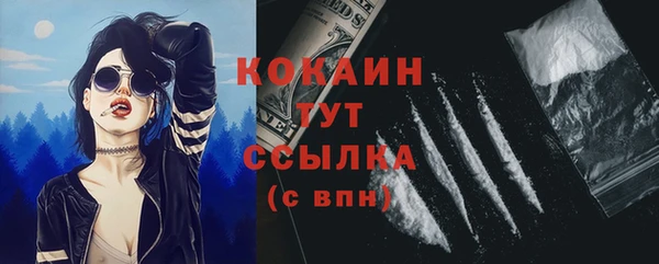 ешки Аркадак