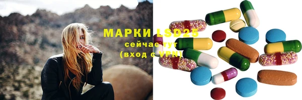 ешки Аркадак