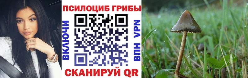 Псилоцибиновые грибы мухоморы  omg как зайти  Реж  магазин продажи  